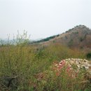 화개산성 네이버블로그