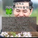 주옥