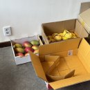 강원도 태백 디저트 카페 [모찌와 브레드] 내돈내산 후기🍓