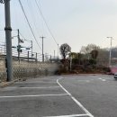 명품설농탕 금촌본점 | 파주 금촌 맛집 명품설렁탕 내돈내산 후기