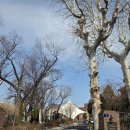 건축물 탐방 코스 이미지