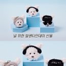 지에스기획 이미지