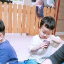 지호버드