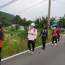 5월 19일 (일요일) 경기도 양평 플랫킹 진행 이미지
