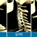 더참본정형외과의원 이미지