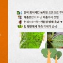 고려영상