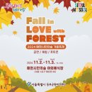 서울 단풍 명소 매헌시민의숲 가을축제 첫날 관람 후기 주차정보