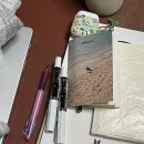 북면우체국 1층 | 2월 설 연휴 일상 - 웡카 아이맥스 후기, 케익먹는곰 울산점 선물세트 후기