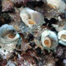 농민상회 이미지