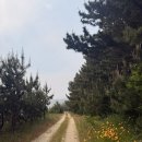 삽시도 밤섬 선착장 공중화장실 | [충남] 보령 삽시도 백패킹 / 어썸홀리데이 래디언스 2P UL