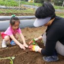 양정농장 이미지