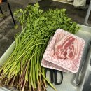 삼부자미나리 이미지