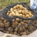 가래울농장 이미지