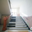 도림초등학교 이미지