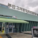 부안고려청자(목포) 이미지