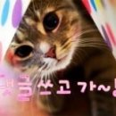 참 이미지