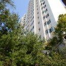 보성타운 이미지