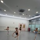 아르떼무용학원 이미지
