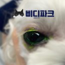 이*열 - 합천군 산두길 237 | 이*열