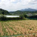 금사농장 이미지