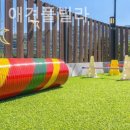 베일리펜션