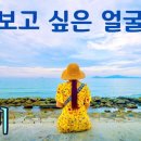 보고싶은 얼굴(현미) 이미지