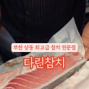 다린참치 이미지