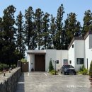 제주하뭄 이미지