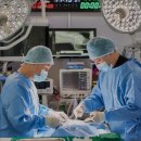 마음반려 동물의료원 | 수원 동몰병원 24시마음반려동물의료원 24시간 진료가 가능하다