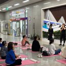 SNPE척추운동 이미지