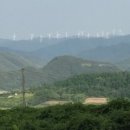 푸르름의 농원 이미지