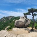 마귀할멈