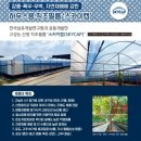 더오레가
