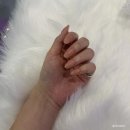 두레통닭강남 | [하루소비/일상] 약속은 주 2회면 충분해(feat.먹부림)_선릉 두레국수, 문래 양키통닭