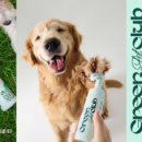 그린펫클럽 이미지