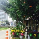 카페라떼르 이미지