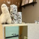신촌어린이집 | [홍대피부관리 신촌피부관리] 육아맘 힐링 타임, 라르본 스페셜케어 솔직후기