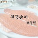 천궁송어