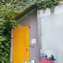 북스테이 노란 이미지