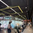 짱 게임즈 이미지