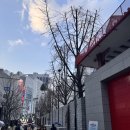 명동 드림에스테 | 명동마사지 드림에스테, 가성비 좋은 아로마 전신케어(30분 발마사지 데이트코스)