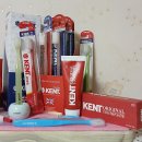 윤석열도 탄핵을 확신한다! 임기단축개헌 해주면 안되겠니? 너같으면 해주겠냐? 완전 미친놈이네... 이미지