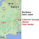 신동와인주 이미지