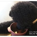 운요천목욕탕 이미지