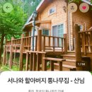 서나와 할아버지 통나무집 이미지