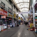 중앙곰장어 이미지