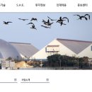 마린무역상사 이미지