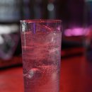 누에보 | 도쿄 일본여행 롯폰기 누에보 시샤바 후기 | 가라오케 가능한 술집 추천