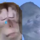 수염아저씨