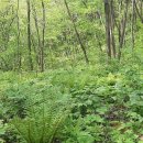 만나농장 이미지